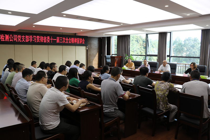 公司檢測公司黨支部召開學習貫徹省委十一屆三次全會精神宣講會