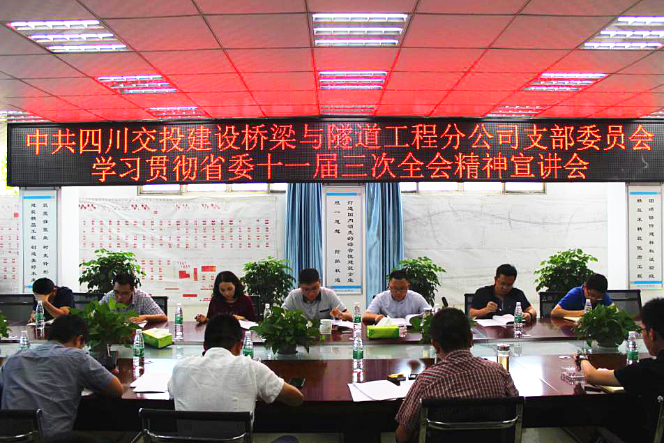 公司橋隧分公司黨支部開展學習貫徹省委十一屆 三次全會精神宣講活動