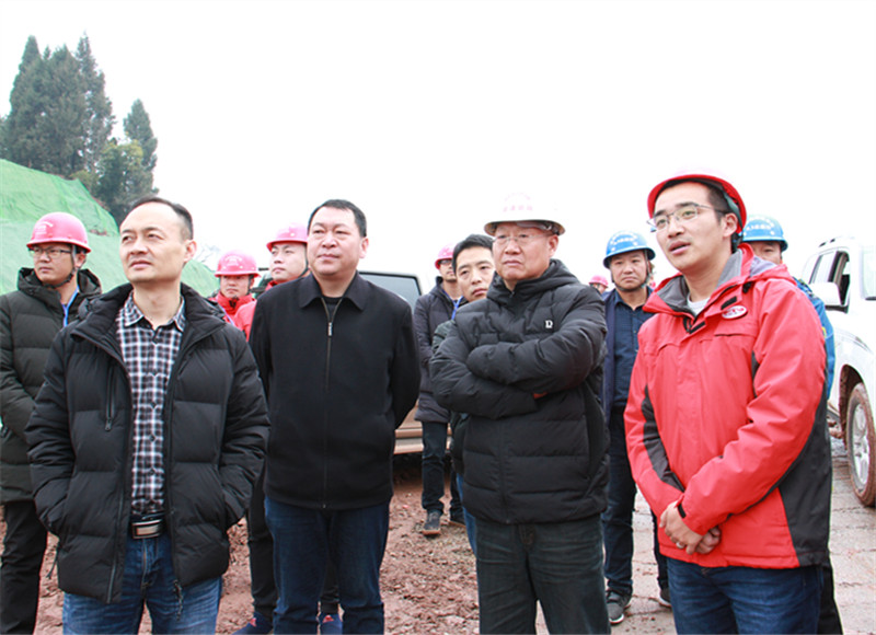 集團公司副總經理張志英調研成資渝項目