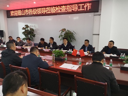 眉山市政府組織召開成樂擴容建設項目工作推進會