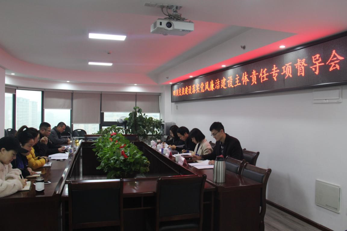 夯實主體責任  強化廉潔建設——公司紀委扎實開展黨風廉潔建設主體責任專項督查