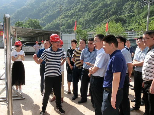 達州市副市長楊革勇一行赴公司市政分公司承建達陜高速公路互通式立交橋工程項目現場調研指導工作