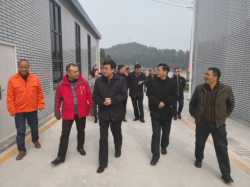 集團(tuán)公司黨委副書記鄒蔚赴公司路面分公司承建成資渝高速TJ6項(xiàng)目調(diào)研指導(dǎo)工作